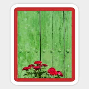 Red Roses. Green Door Sticker